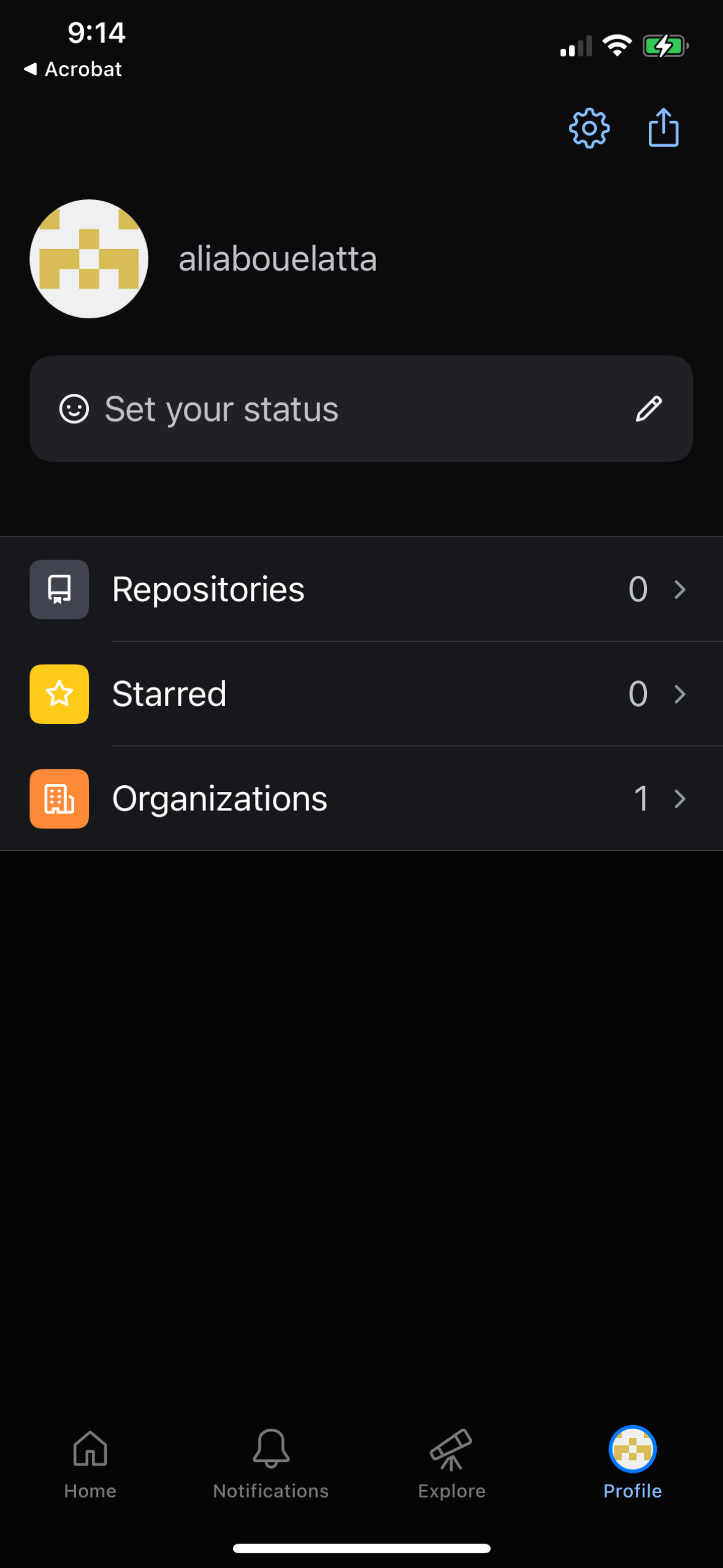 github app screenshot 44